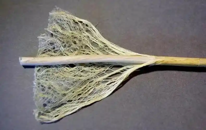 汉麻8000年来人类发现的最完美材料