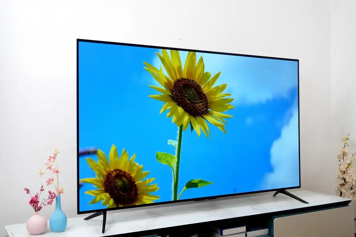 小米电视6 oled 65寸图赏