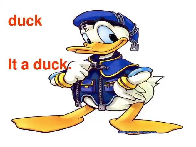 pep三年级英语上unit4we_love_animals_parta_部分课件ppt