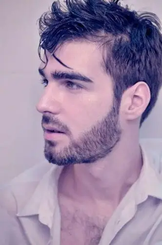 络腮胡好看的图片