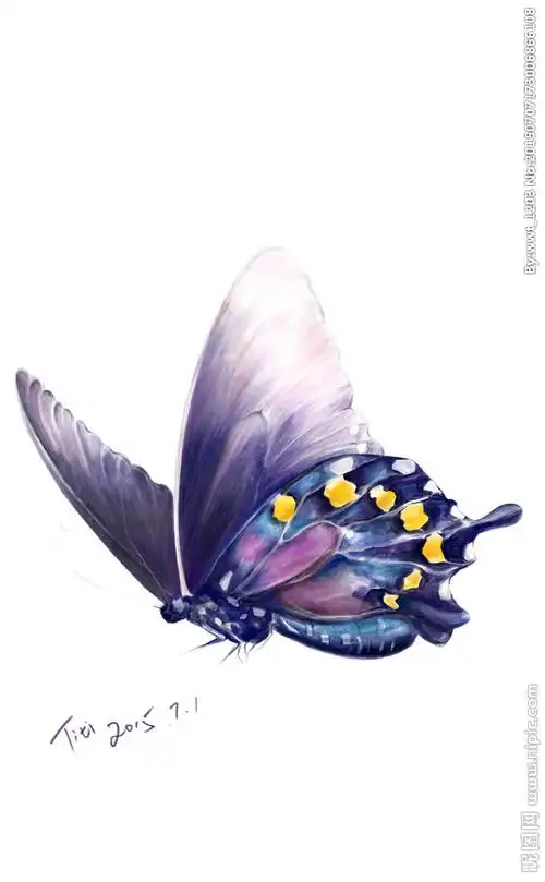 紫色手绘蝴蝶图片