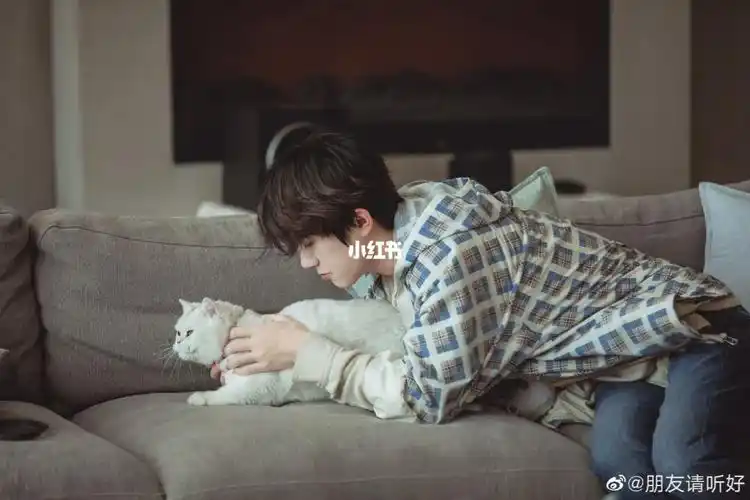 易烊千玺撸猫照片_男朋友_猫咪_人间理想易烊千玺_娱乐_明星娱乐资讯