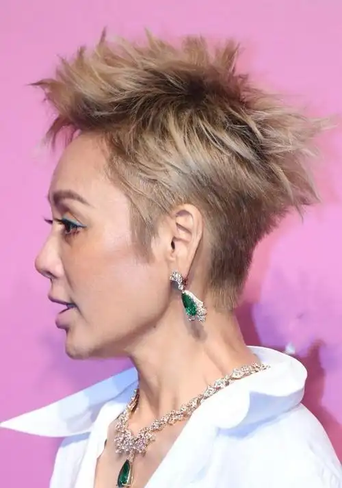 宁静出席活动挑错妆容土黄色肤配超短发脖子和脸颜色不一