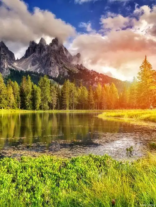 在最深的绝望里,我遇见最美的风景."这句话是对时间深邃而温柔的颂歌.