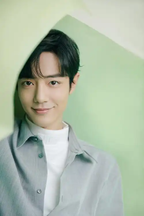 肖战灰色衬衫清爽帅气写真49