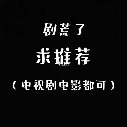 追剧电视剧电影