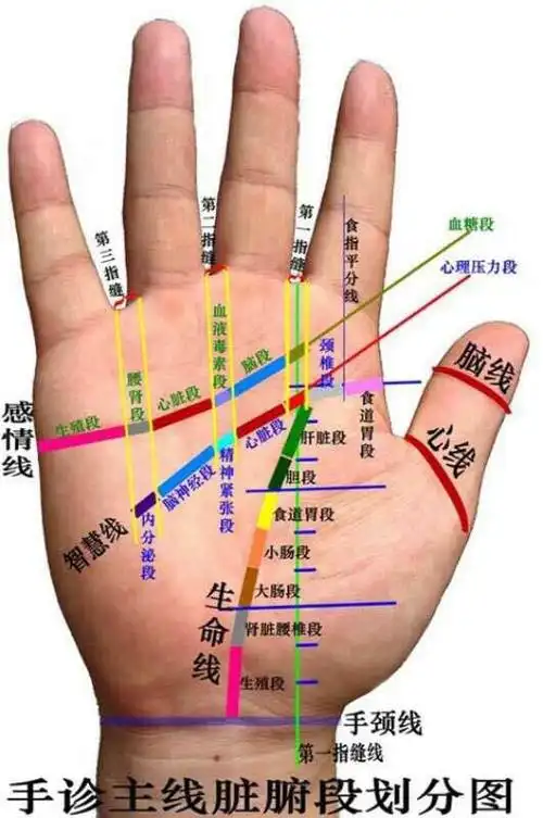 你的痣长在了哪里