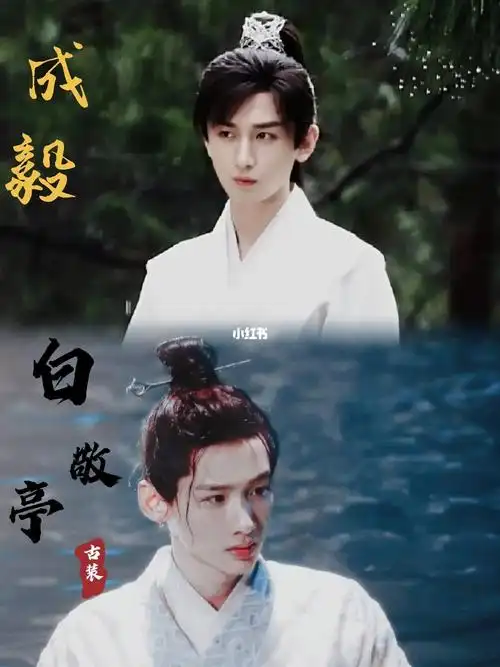 这次应该不会有人认错成毅和白敬亭了吧