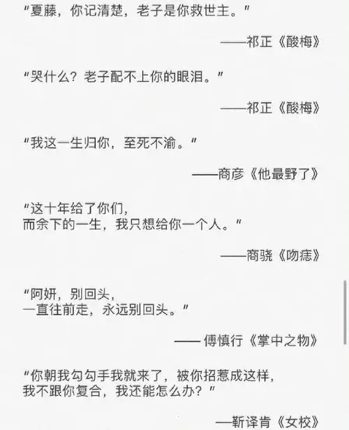 言情小说男主经典语录