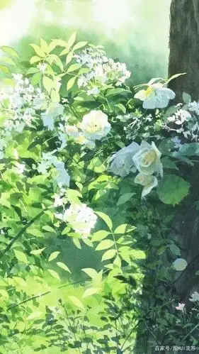 小清新系列绿色壁纸 是春天啊