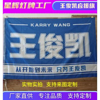 王俊凯易烊千玺应援旗八周年应援大旗支持定制可做灯旗天颛 王俊凯