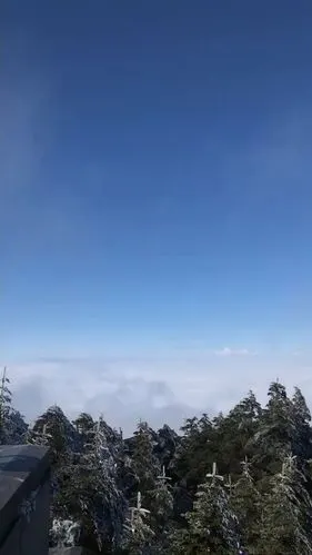 成都篇——峨眉山随手一拍就是景