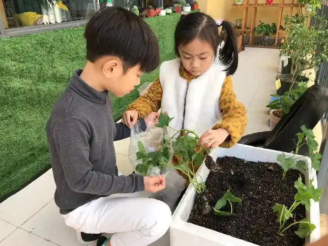 我们一起去种瓜吧!