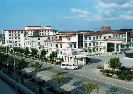 参评村庄:山东龙口南山村