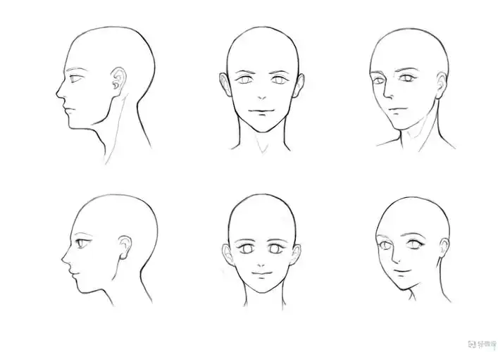 作业:零基础怎么学漫画只头部转向的画法与训练 - rh14695 silence