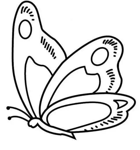 蝴蝶简笔画图片