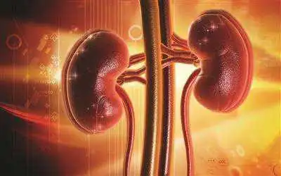 男性补肾壮阳吃什么东西效果最好?