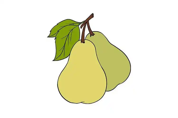 画梨子的简笔画步骤,梨图片简笔画彩色-图片大观-奇异网