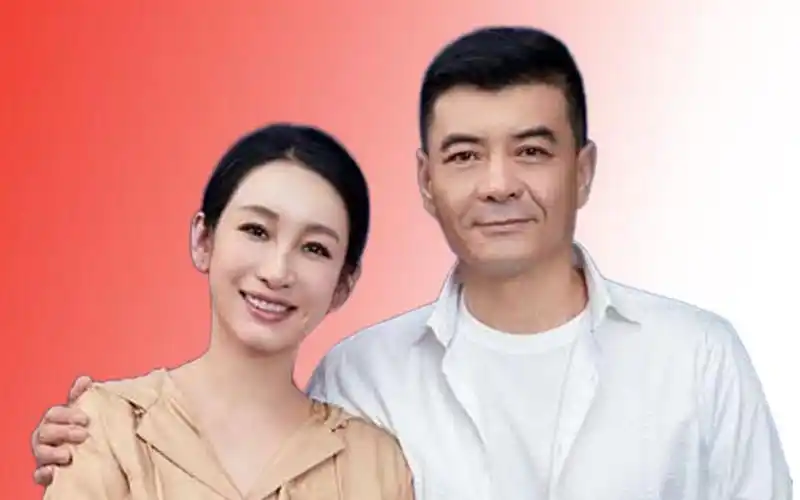 被前妻一手捧红后,王新军转身娶了秦海璐,背后真相果真她脱不了干系