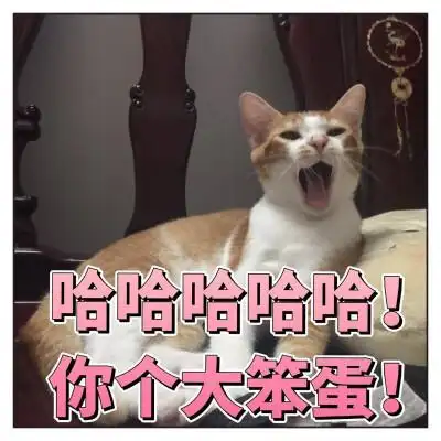 猫看电视表情包