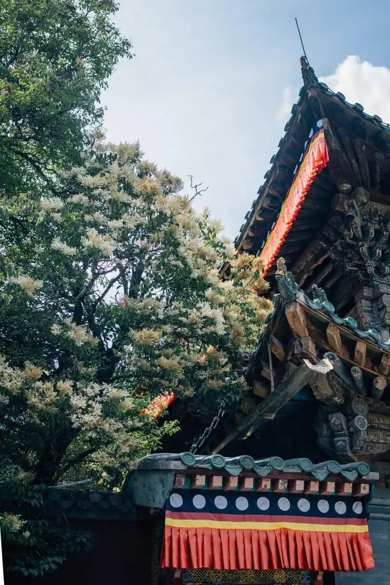 塔尔寺|先有塔尔后有寺 先有塔,尔后有寺,故称塔尔寺.