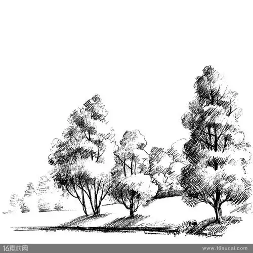 素描手绘线条树木矢量素材