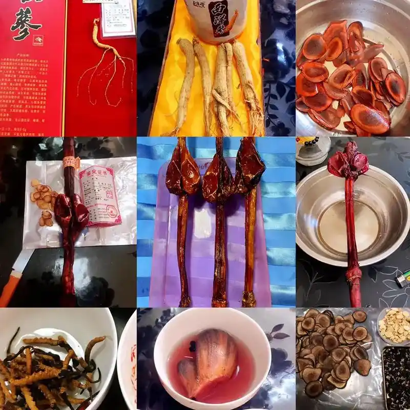 自制药酒,补肾壮阳,活血化瘀,人参,雪莲,木灵芝.鹿鞭,鹿茸 - 抖音