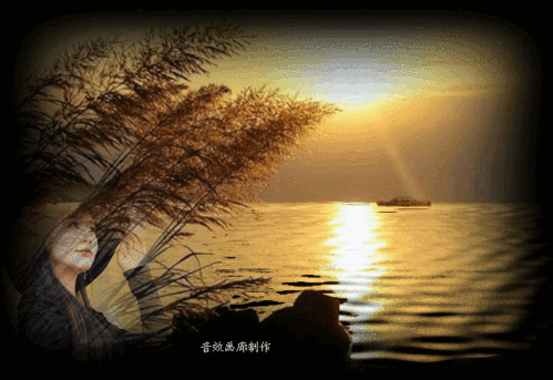 562_386gif 动态图 动图