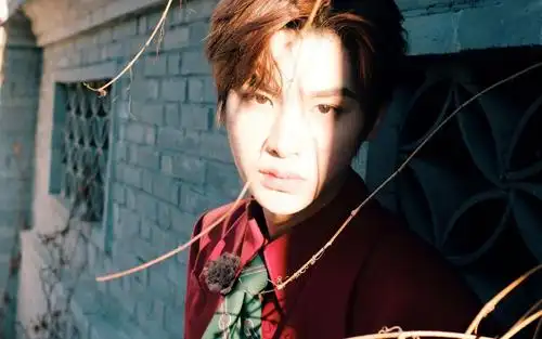 电脑壁纸 明星 大陆明星 时尚帅气西装男孩黄明昊慵懒户外写真