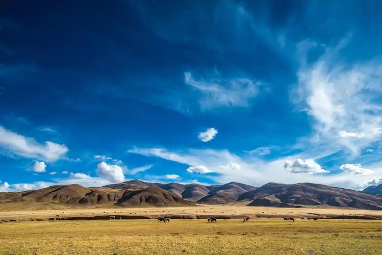 中国第一大无人区方圆百里见不到一人却有人定居原因是