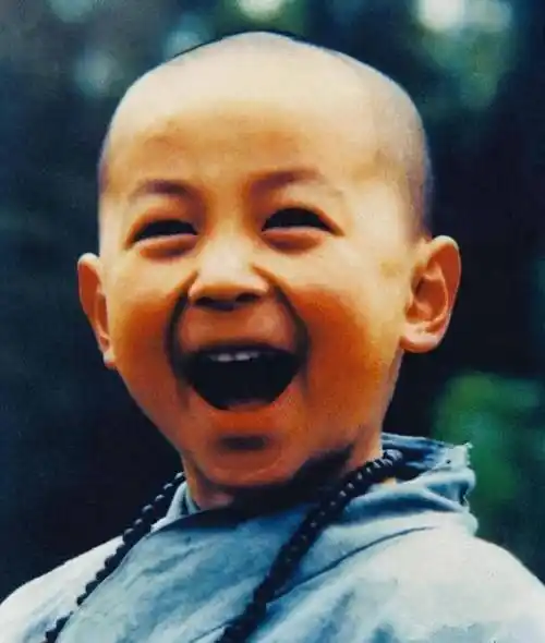 2岁练功5岁成名,当家里6年"摇钱树"的释小龙为什么红不起来_父亲