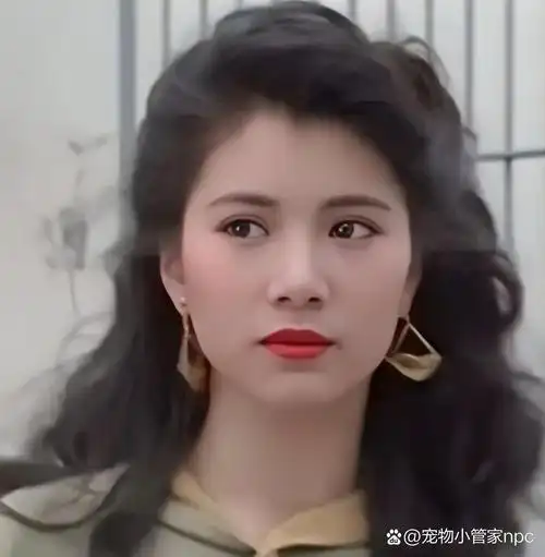 袁咏仪:历经风雨,终获真爱的香港小姐 袁咏仪,这位曾经的香港小姐冠军