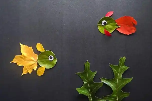 找一片叶子,叶尖朝左水平粘贴在卡纸上,这作为小鱼的身体