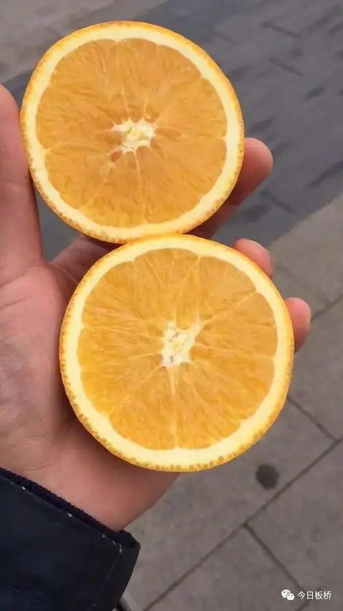 今日精品不是所有的橙子都能叫做175度橙