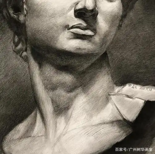 有一定素描基础的同学一般都会选择大卫石膏像作为素描参照物,因为