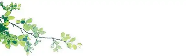 周末有雨最低4教师职称推新政通过率100央视点赞山东一学校