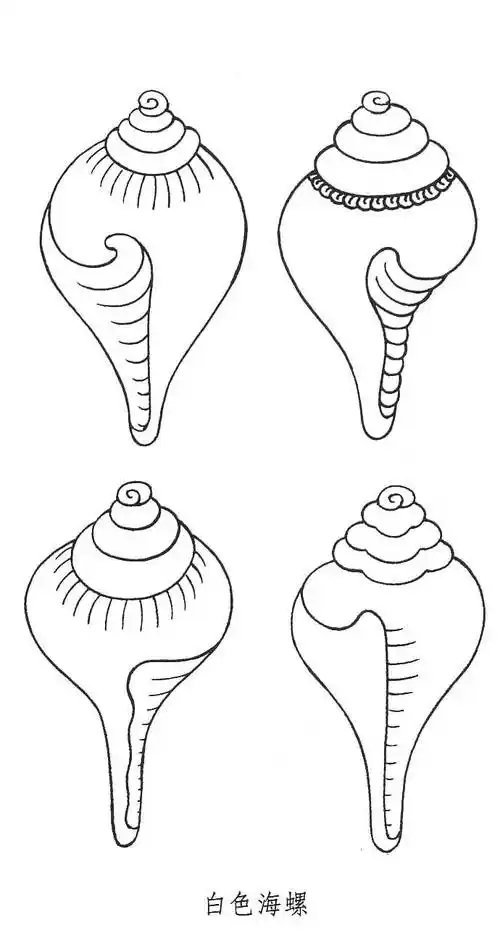 小动物简笔画怎么画海螺海螺贝壳怎么画简笔画海螺海洋生物贝壳简笔画