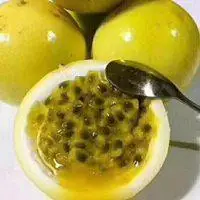 百香果女孩粉丝的专属头像点击鼠标右键下载