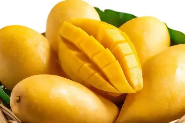 秋季最常见的十种时令水果,芒果上榜,第四的花果期覆盖全年