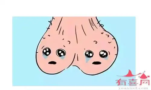 阴囊下垂松弛正常吗