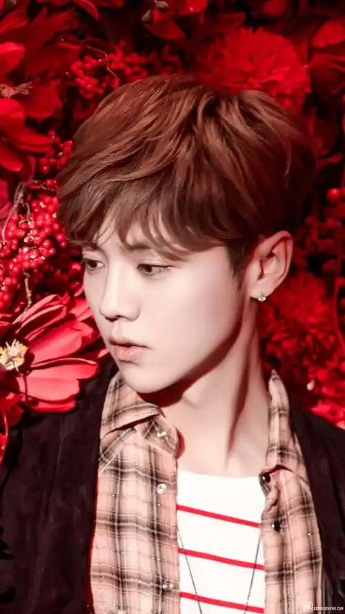 明星鹿晗的帅照