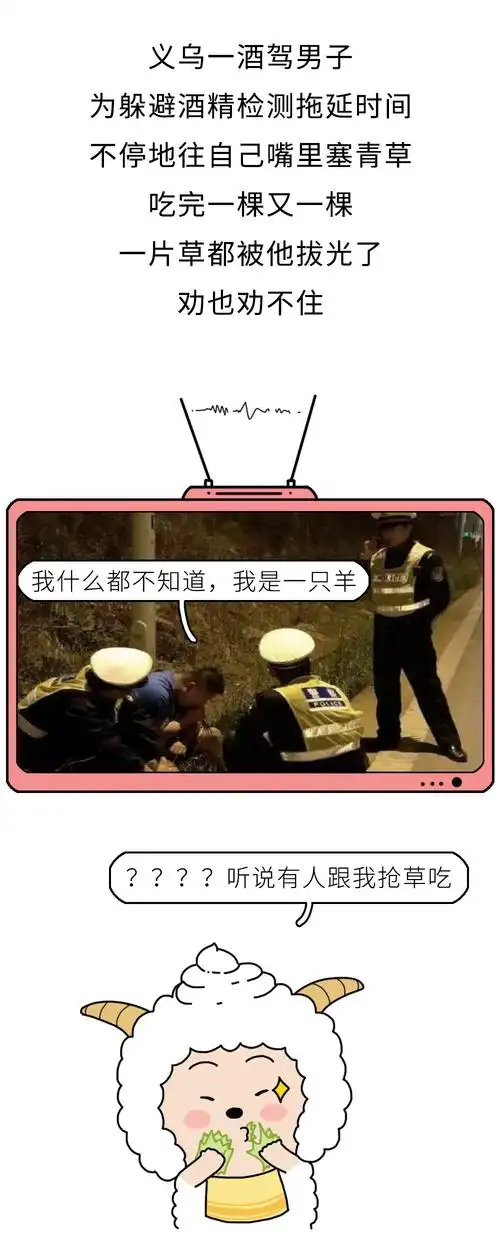 2017年度最搞笑新闻出炉,生活处处是段子哈哈哈哈哈哈哈哈