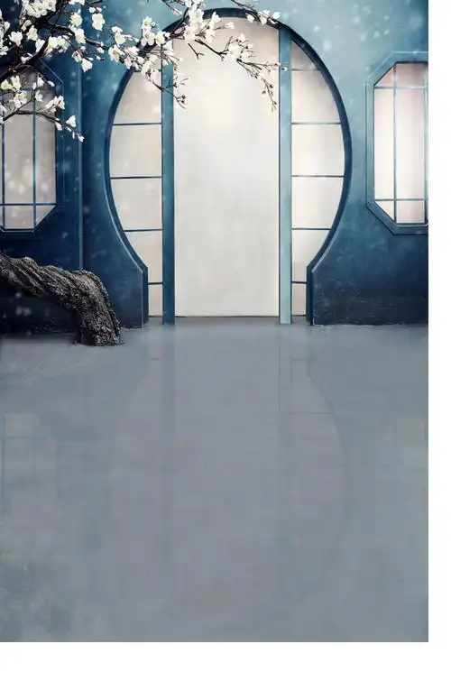 挂布背景布古风拍照汉服影棚国潮古装布全家福直播布3d立体