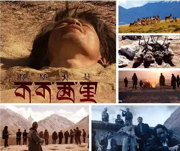 三江源核心之一可可西里在生命禁区遇难真的算不上浪漫