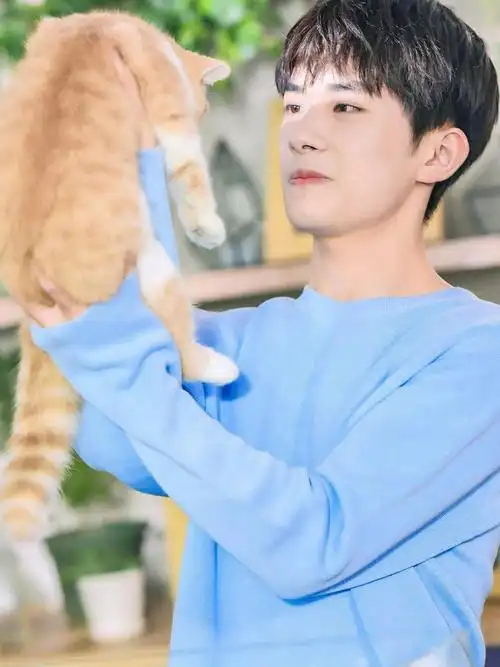 撸猫#易烊千玺这样也好好看哦