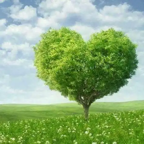 女人微信头像是一棵树图片可爱 适合永久做头像的图片女生