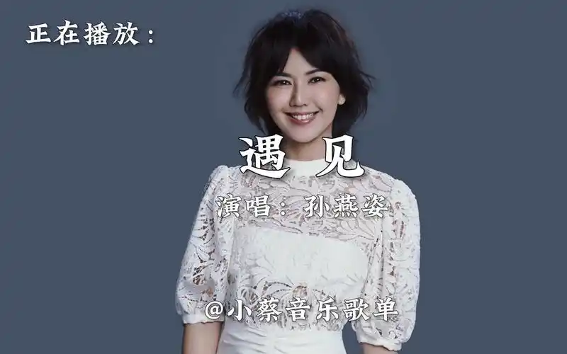 一人一首成名曲孙燕姿《遇见》无损音质完整版