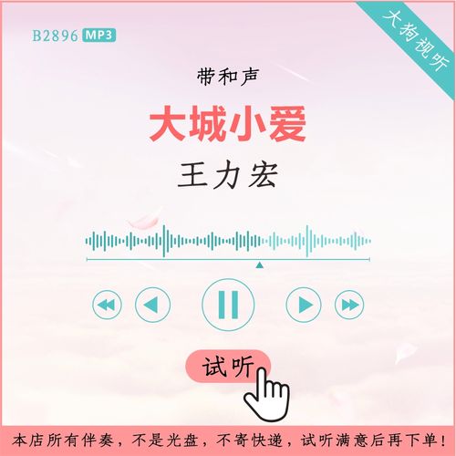 b2896王力宏 大城小爱 原版伴奏 高品质 带和声