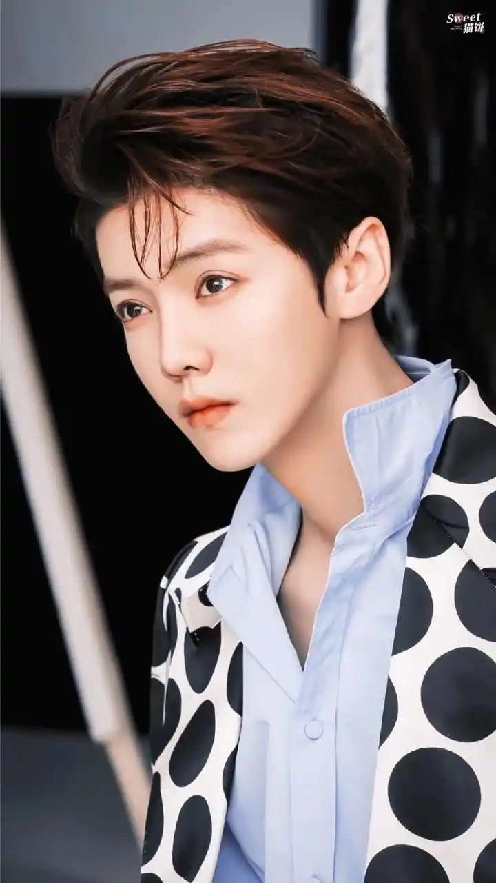 鹿晗# #娱乐最前沿# #春晚#  鹿晗金发黑西装造型虎年,最后一天快来