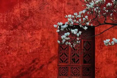红色系红墙红窗白花古风